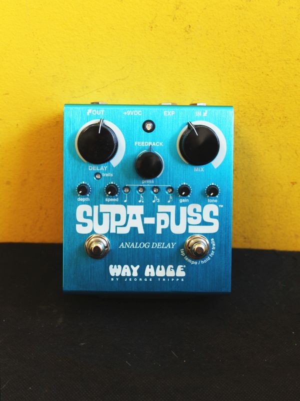 Way Huge Supa Puss Analog Delay WHE707